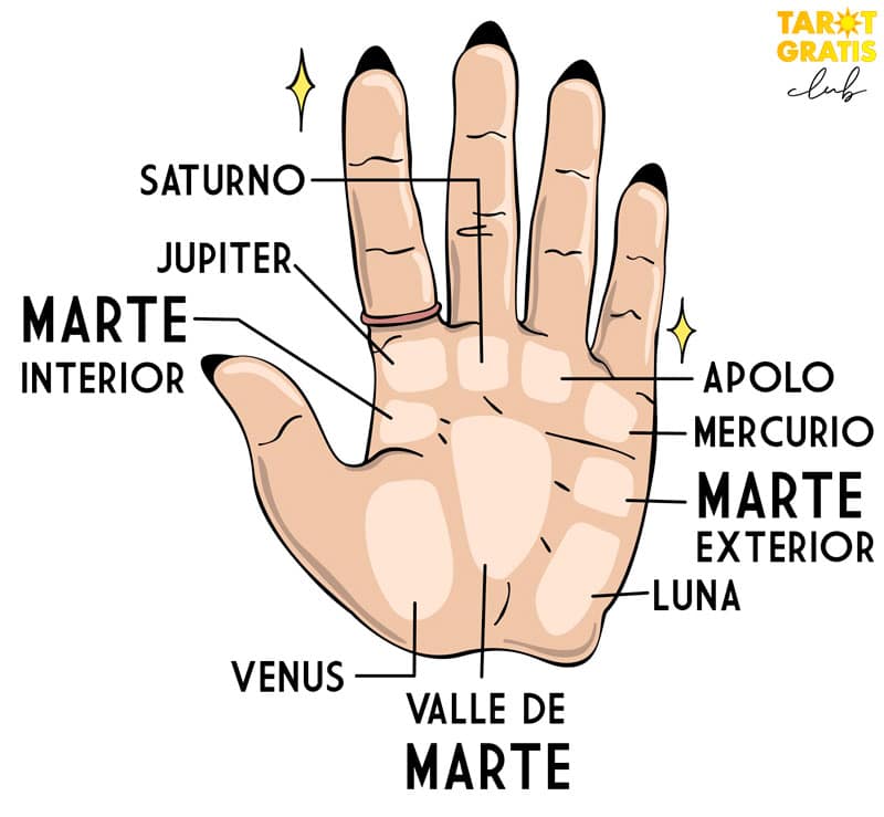 Montes de la palma de la mano - quiromancia