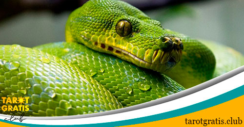 la serpiente en el horoscopo maya - tarot gratis club