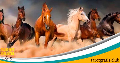 significado de los sueños con caballos - tarot gratis club