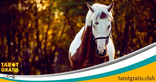 significado de soñar con caballos - tarot gratis club